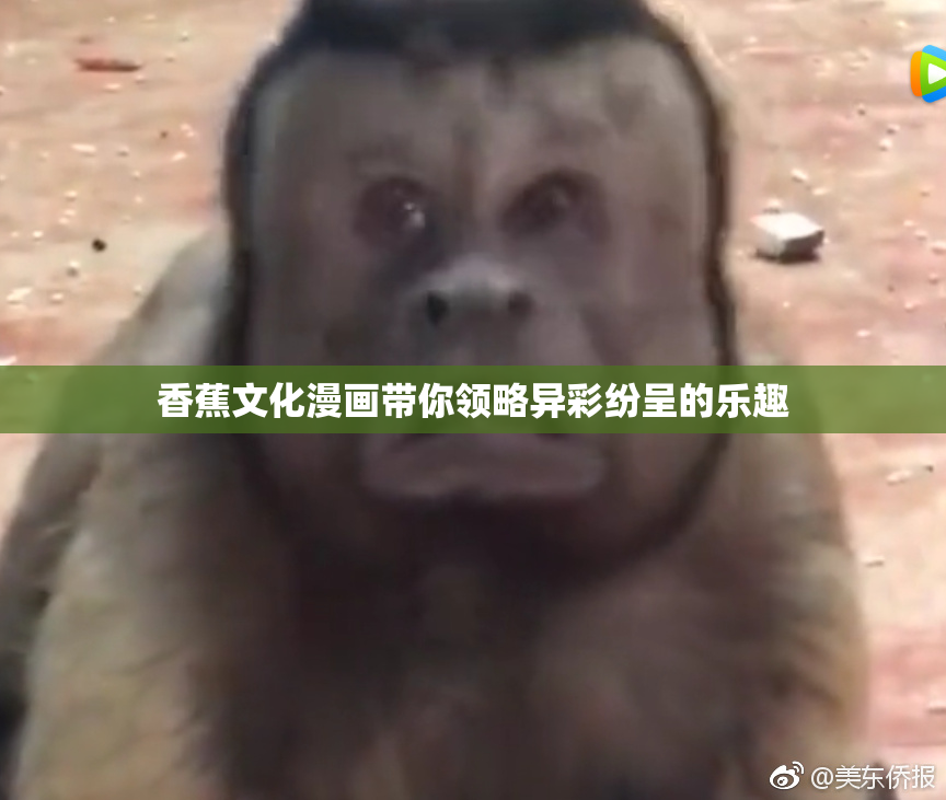 香蕉文化漫画带你领略异彩纷呈的乐趣