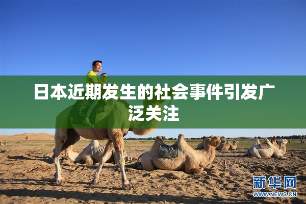日本近期发生的社会事件引发广泛关注