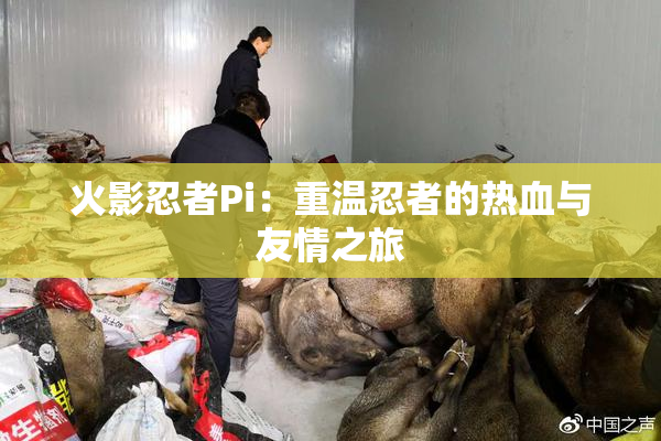 火影忍者Pi：重温忍者的热血与友情之旅