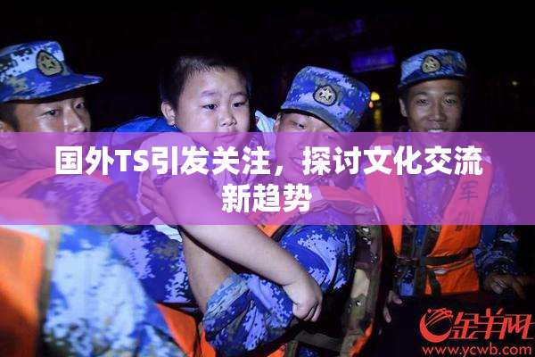 国外TS引发关注，探讨文化交流新趋势