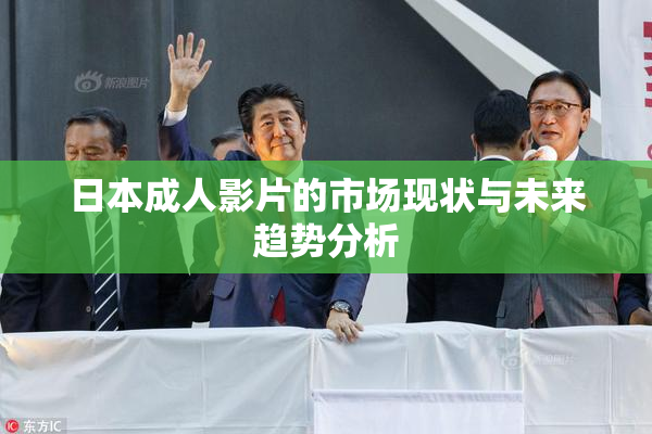 日本成人影片的市场现状与未来趋势分析