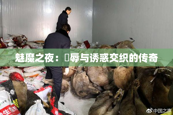 魅魔之夜：婬辱与诱惑交织的传奇