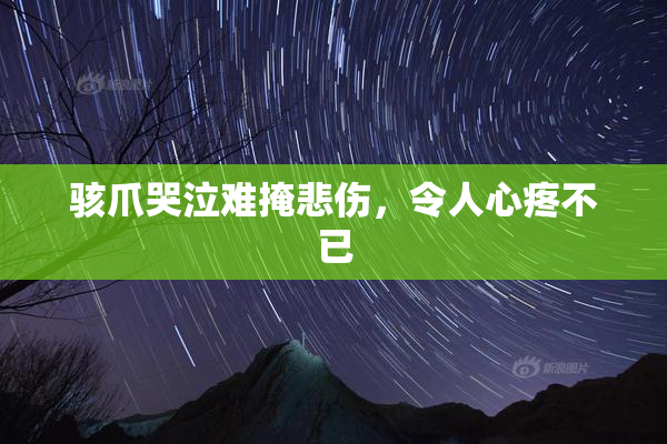 骇爪哭泣难掩悲伤，令人心疼不已