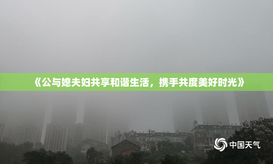 《公与媳夫妇共享和谐生活，携手共度美好时光》