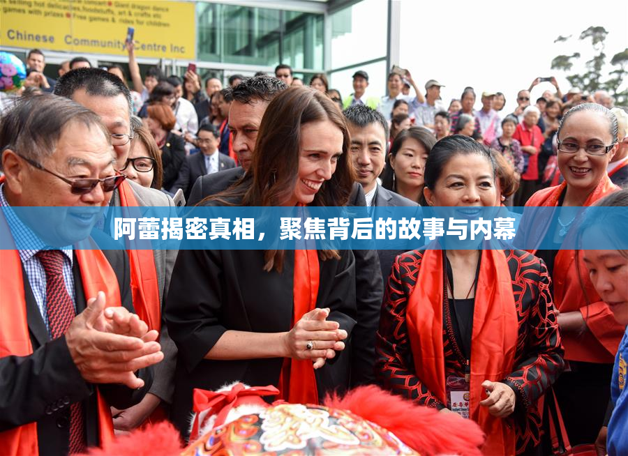 阿蕾揭密真相，聚焦背后的故事与内幕