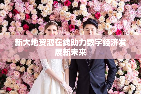 新大地资源在线助力数字经济发展新未来
