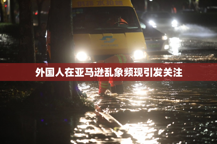 外国人在亚马逊乱象频现引发关注
