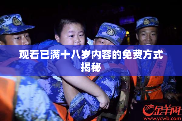 观看已满十八岁内容的免费方式揭秘