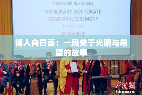 博人向日葵：一段关于光明与希望的故事
