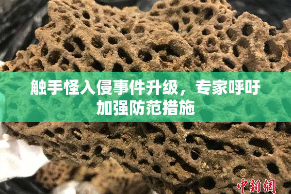 触手怪入侵事件升级，专家呼吁加强防范措施