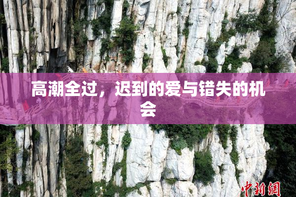 高潮全过，迟到的爱与错失的机会