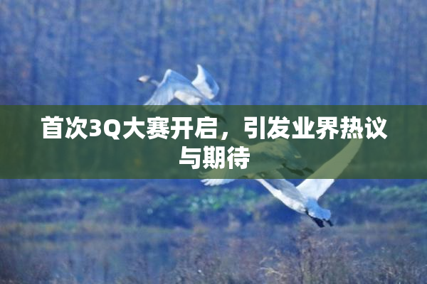 首次3Q大赛开启，引发业界热议与期待