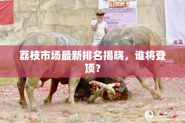 荔枝市场最新排名揭晓，谁将登顶？