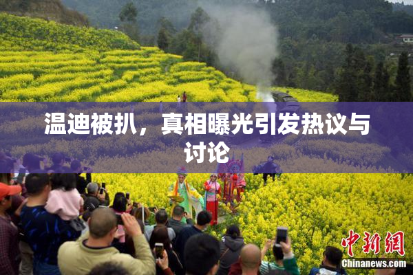 温迪被扒，真相曝光引发热议与讨论