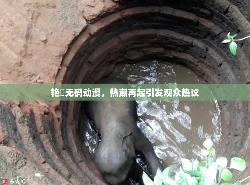 艳鉧无码动漫，热潮再起引发观众热议