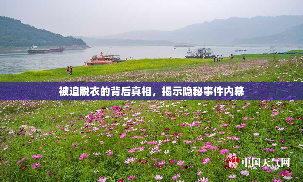 被迫脱衣的背后真相，揭示隐秘事件内幕