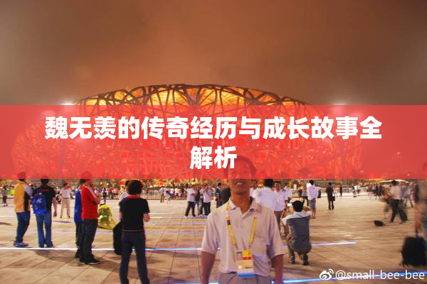 魏无羡的传奇经历与成长故事全解析