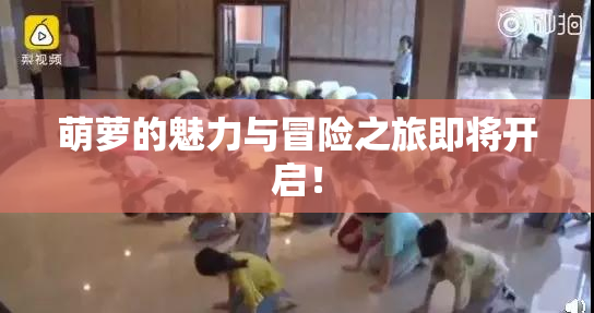 萌萝的魅力与冒险之旅即将开启！