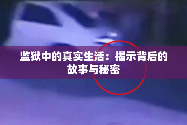 监狱中的真实生活：揭示背后的故事与秘密