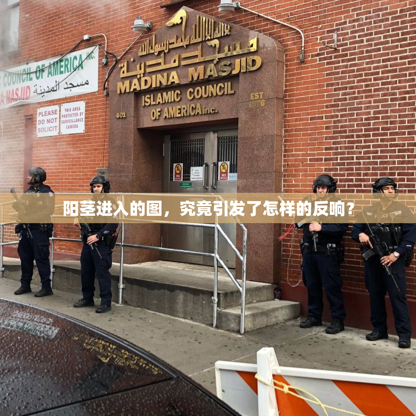 阳茎进入的图，究竟引发了怎样的反响？