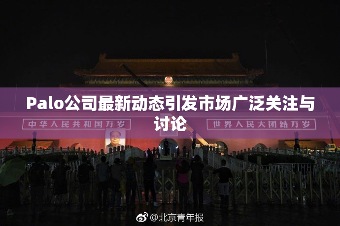 Palo公司最新动态引发市场广泛关注与讨论