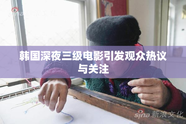 韩国深夜三级电影引发观众热议与关注
