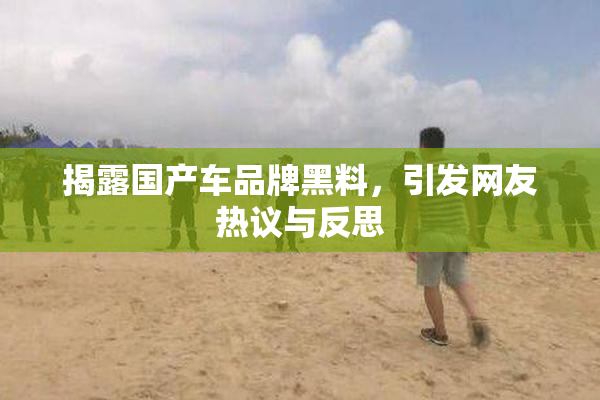 揭露国产车品牌黑料，引发网友热议与反思