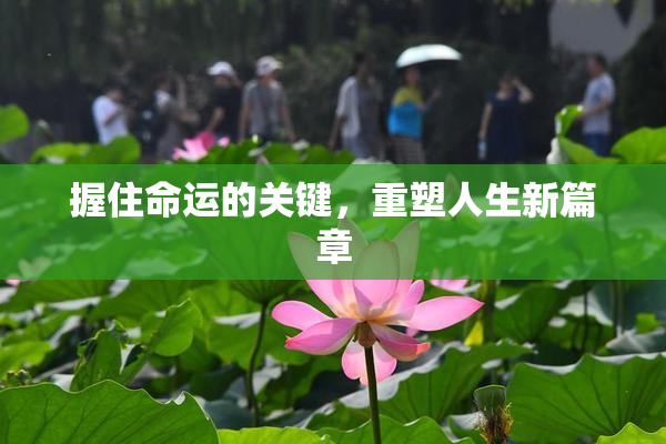 握住命运的关键，重塑人生新篇章