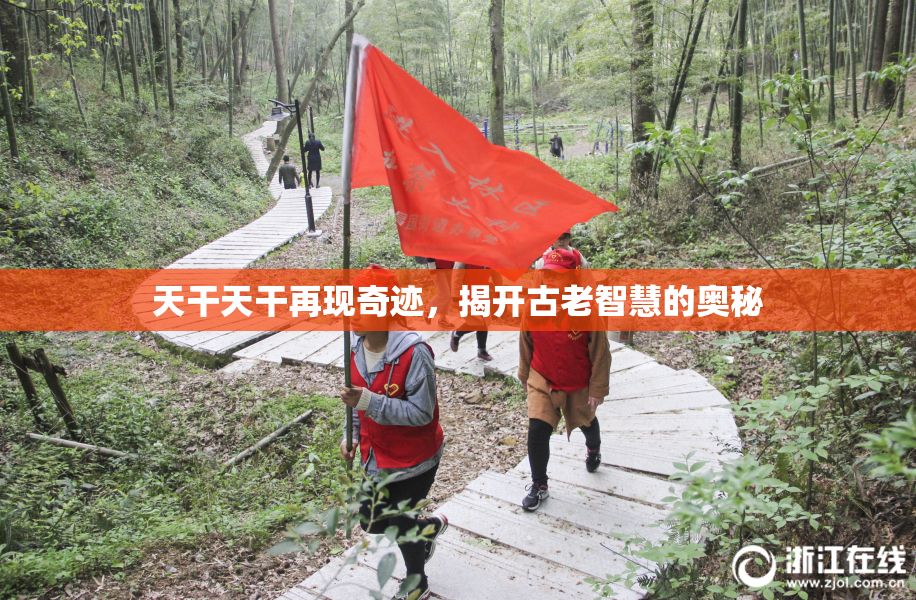 天干天干再现奇迹，揭开古老智慧的奥秘
