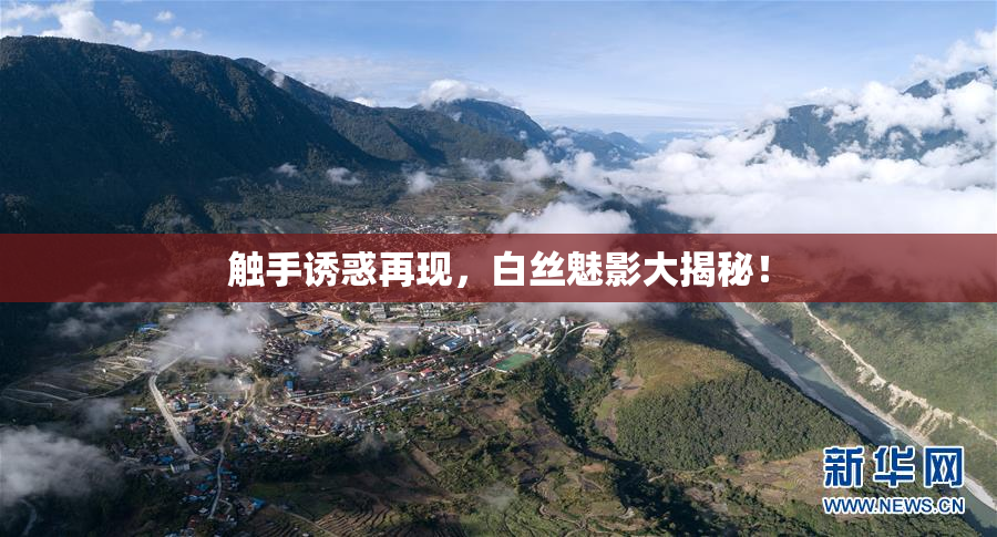 触手诱惑再现，白丝魅影大揭秘！
