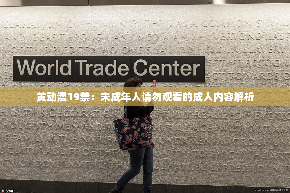 黄动漫19禁：未成年人请勿观看的成人内容解析