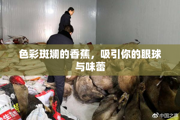 色彩斑斓的香蕉，吸引你的眼球与味蕾