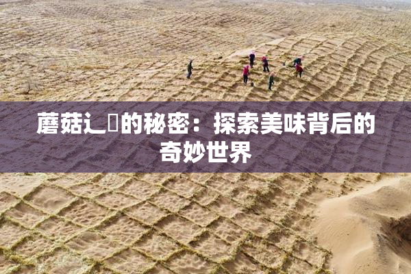 蘑菇辶喿的秘密：探索美味背后的奇妙世界