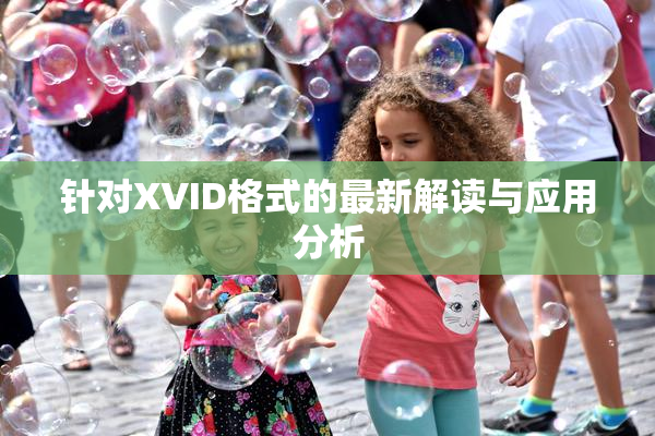 针对XVID格式的最新解读与应用分析