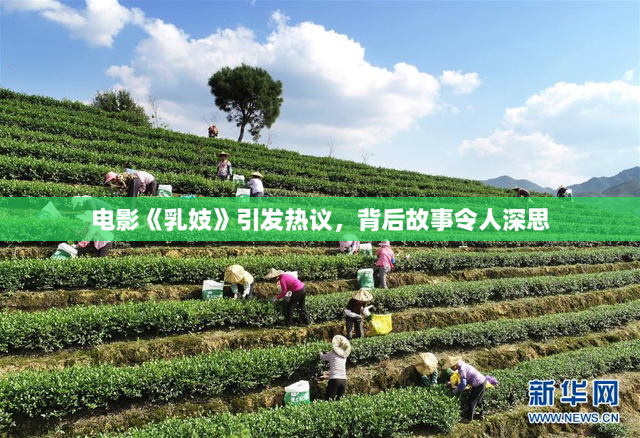 电影《乳妓》引发热议，背后故事令人深思