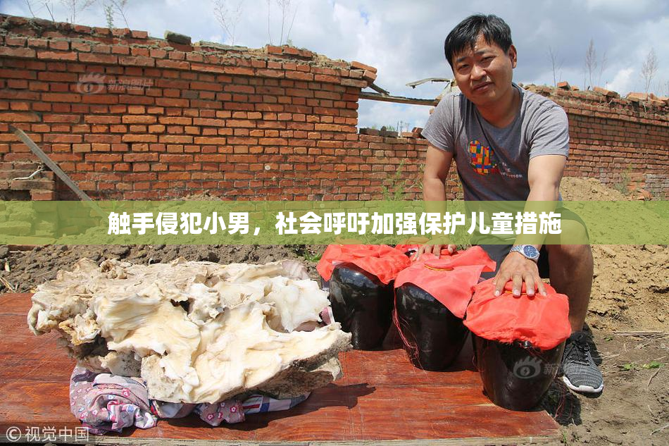 触手侵犯小男，社会呼吁加强保护儿童措施
