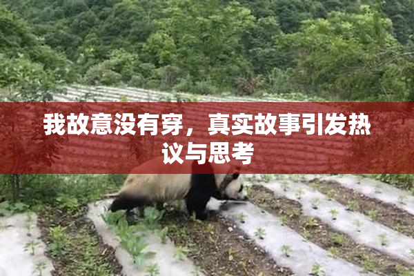 我故意没有穿，真实故事引发热议与思考
