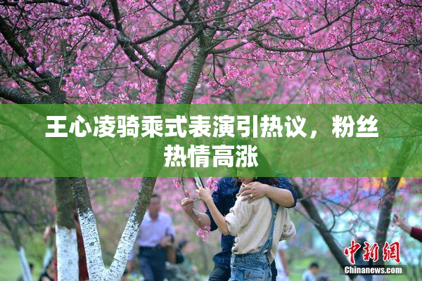 王心凌骑乘式表演引热议，粉丝热情高涨