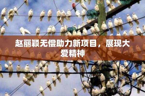 赵丽颖无偿助力新项目，展现大爱精神