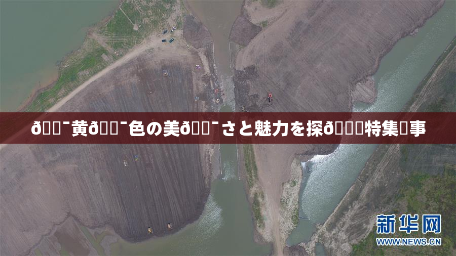🔯黄🔯色の美🔯さと魅力を探🌃特集記事