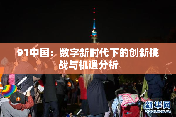 91中国：数字新时代下的创新挑战与机遇分析
