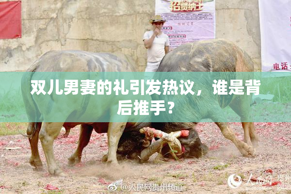 双儿男妻的礼引发热议，谁是背后推手？
