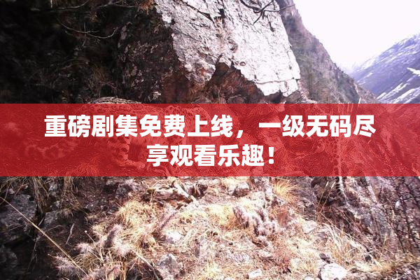 重磅剧集免费上线，一级无码尽享观看乐趣！