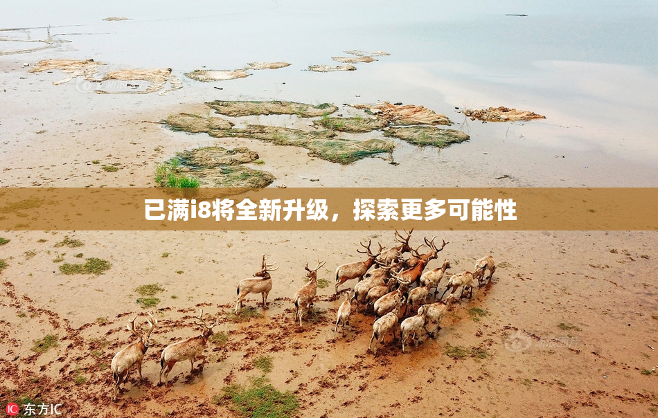 已满i8将全新升级，探索更多可能性