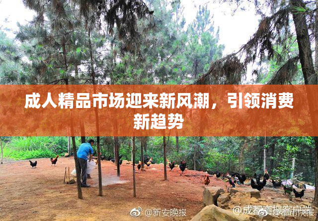 成人精品市场迎来新风潮，引领消费新趋势