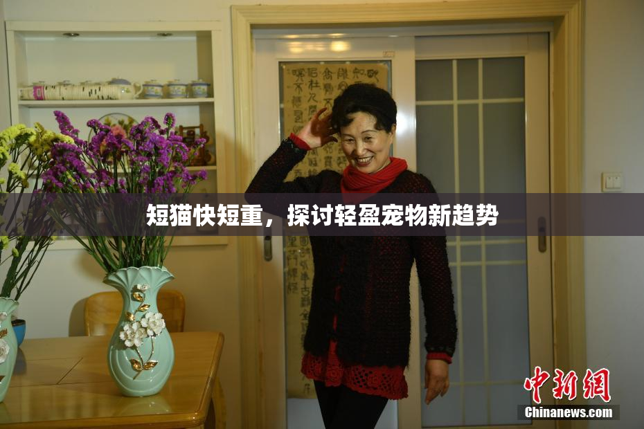 短猫快短重，探讨轻盈宠物新趋势