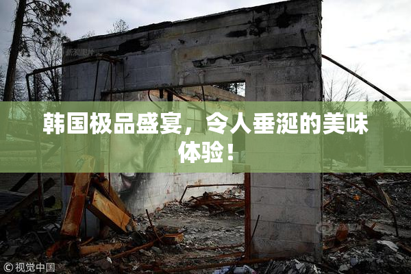 韩国极品盛宴，令人垂涎的美味体验！