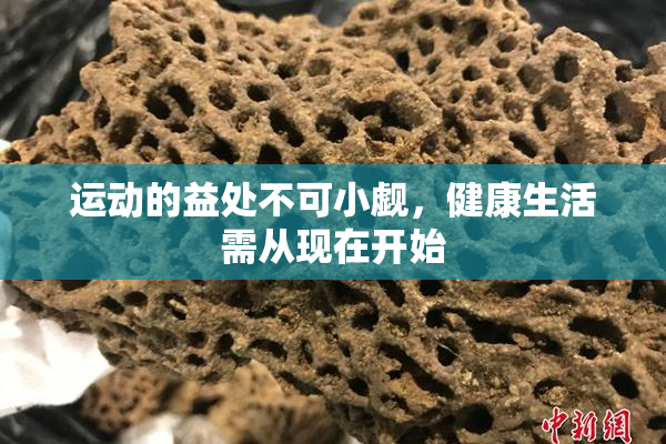 运动的益处不可小觑，健康生活需从现在开始