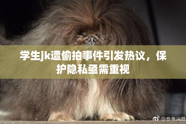 学生jk遭偷拍事件引发热议，保护隐私亟需重视