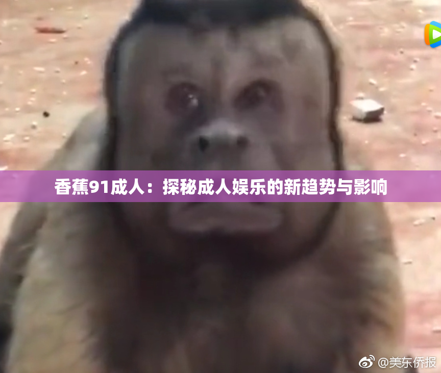香蕉91成人：探秘成人娱乐的新趋势与影响